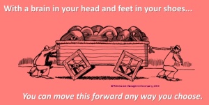 SWs One brain in head feet in shoes